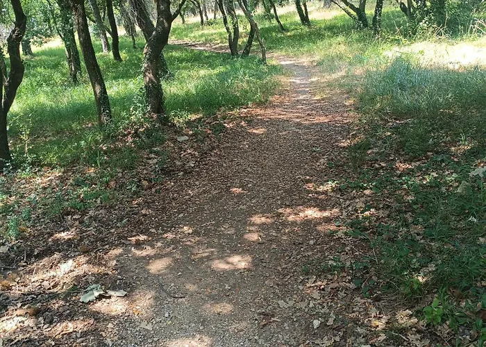 Apartman Sole E Mare New Porec