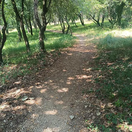 Apartmán Sole E Mare New Poreč